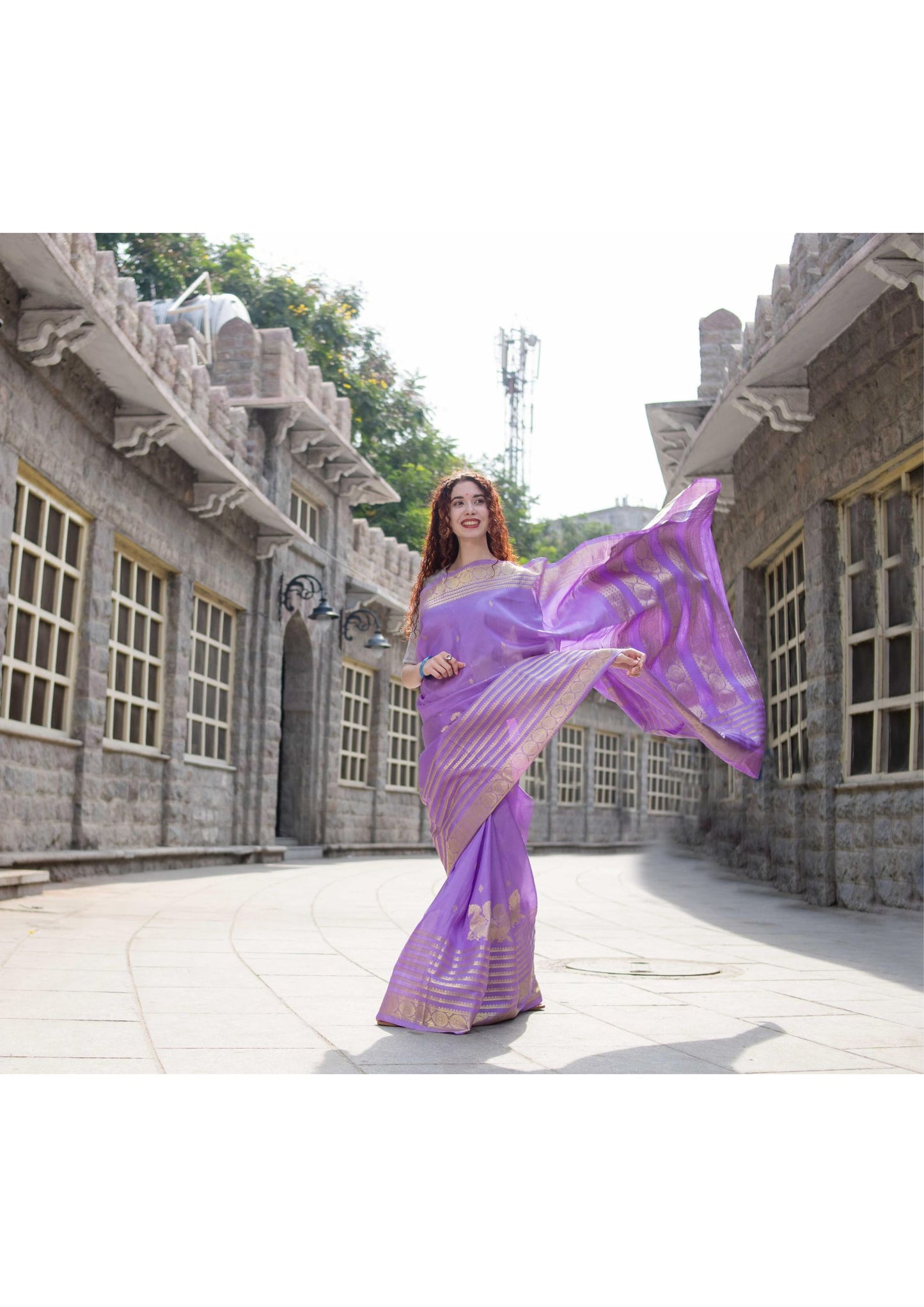 Saree - Pure Silk Handloom Kanchi Saree in Violet Colour