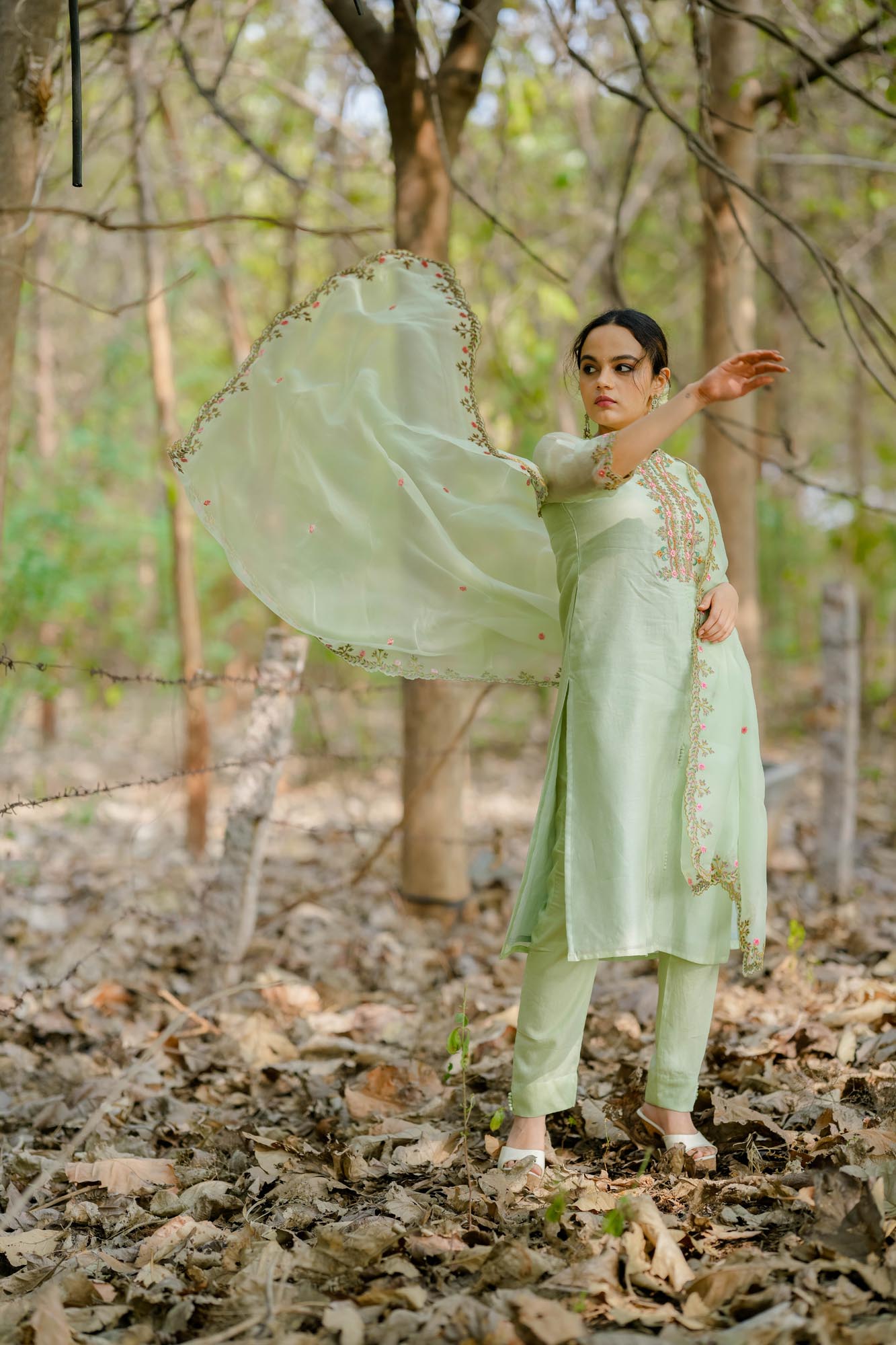 Women’s wear embroidered chanderi kurta set in pastel pista green